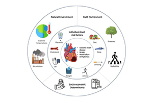 Experts present detailed evidence on the impact of environmental issues on cardiovascular health Source: Medical Xpress There