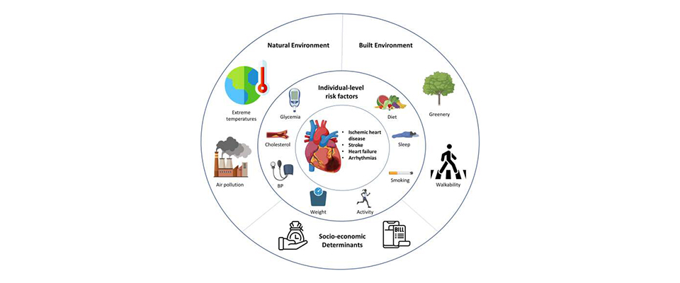 In addition to extreme weather and air pollution being associated with cardiovascular events, it is increasingly recognised that the comprehensive lifetime exposure of individuals and populations to their surrounding environment (the exposome) is closely interlinked to cardiovascular health and well-being. Credit: Canadian Journal of Cardiology