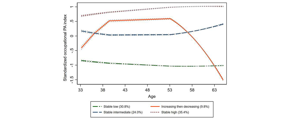Trajectory plot of standardised occupational physical activity (PA) at ages 33–65 years showing four distinct trajectory groups: (1) stable low occupational PA, (2) increasing then decreasing occupational PA, (3) stable intermediate occupational PA, and (4) stable high occupational PA. A standardised occupational PA score of zero is equivalent to a score of 3.06 on the occupational PA index in O∗NET. One SD is equivalent to a 0.93 point increase or decrease on the unstandardised occupational PA index. The dashed grey lines surrounding each trajectory are 95% confidence intervals on the estimated probabilities of group membership. Percentages in the legend represent the estimated group probability. For data on each participant's trajectory per occupational PA group, see Figure S2, and for the distribution of the occupational PA index in the sample, see Figure S3. Typical occupations for the occupational PA groups can be found in Tables S5 and S6. Credit: The Lancet Regional Health - Europe (2023). DOI: 10.1016/j.lanepe.2023.100721